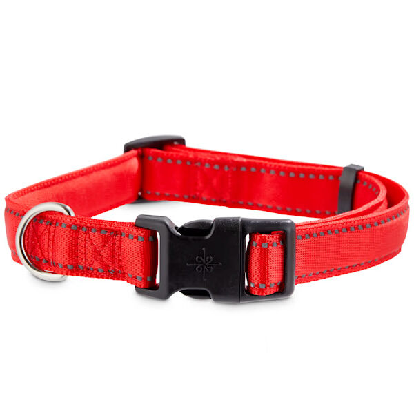 YOULY The Protector  Reflective Red Dog Collar, Large