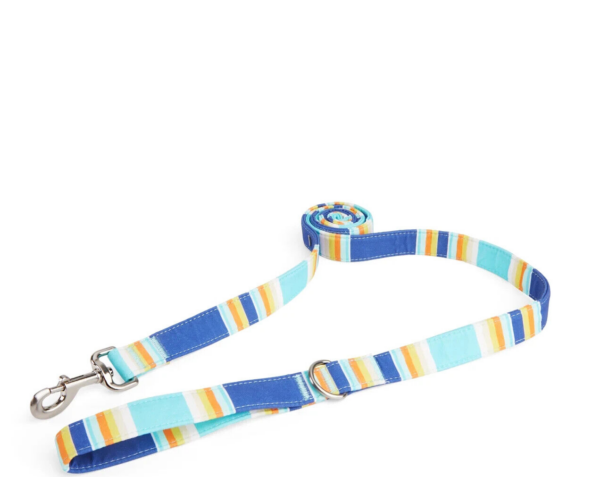 YOULY The Artist Blue & Orange Stripe Dog Leash, 6 ft.