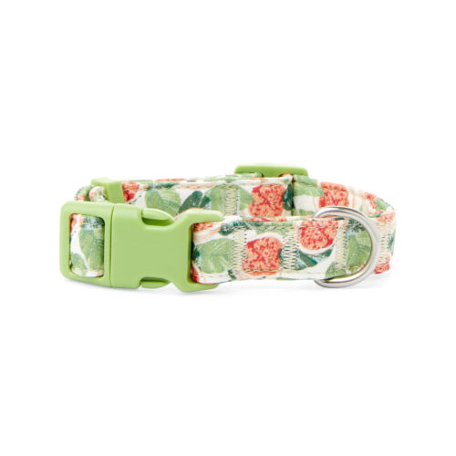 YOULY The Wanderer Green & Multicolor Go Fig-ure Dog Collar, Small