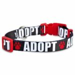 Good2Go-Adopt-Love-Dog-Collar-by-Good2Go-Size-Large.jpg