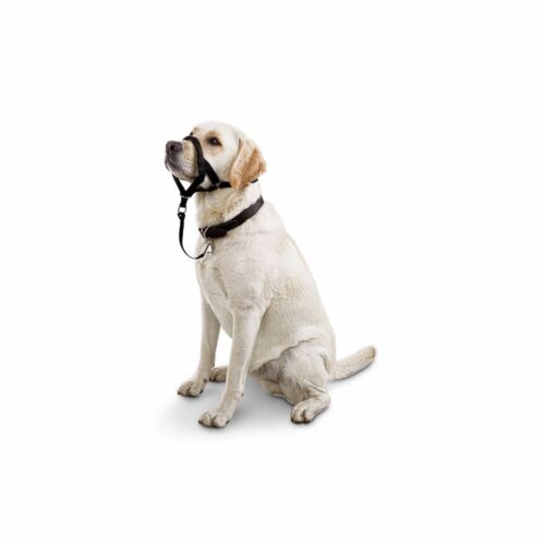 Good2Go Head Halter for Dogs, Size Medium Color Black on Black