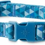 Good2Go-Blue-Prismatic-Dog-Collar-Small-By-Good2Go.jpg