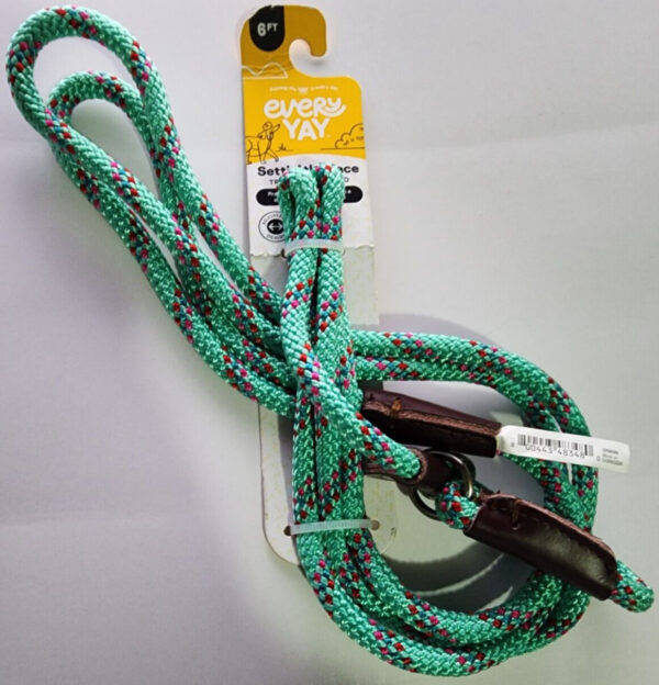 EveryYay Teal Settin’ the Pace Confetti Training Slip Lead for Dogs, 6 ft.