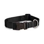 Good2Go-Adjustable-Black-Nylon-Dog-Collar-LargeX-Large.jpg