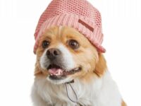 Reddy Coral Knit Dog Beanie, Large/X-Large By: Reddy