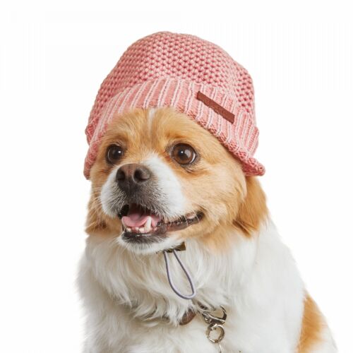 Reddy Coral Knit Dog Beanie, Large/X-Large By: Reddy