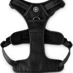 EveryYay-Embrace-the-Pace-Black-Front-Walking-Dog-Harness-Medium.jpg