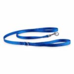 Good2Go-Blue-Nylon-Dog-Leash-12-Width-4-Length-SmallMedium.jpg