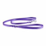 Good2Go Purple Nylon Dog Leash, 1/2″ Width, 4′ Length, Small/Medium by Good2Go