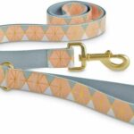 Good2Go Rosy Geo Dog Leash, 6 ft. By: Good2Go