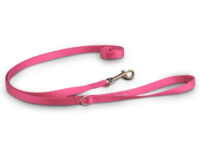 Good2Go Pink Nylon Dog Leash, 1/2" Width, 6' Length, Small/Medium by Good2Go