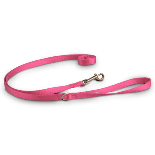 Good2Go Pink Nylon Dog Leash, 1/2″ Width, 6′ Length, Small/Medium by Good2Go