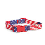 YOULY-The-Citizen-American-Flag-Dog-Collar-Medium-By-Youly.jpg