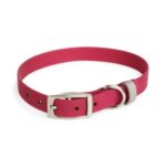 YOULY-The-Trailblazer-Red-Wipeable-Dog-Collar-Small.jpg