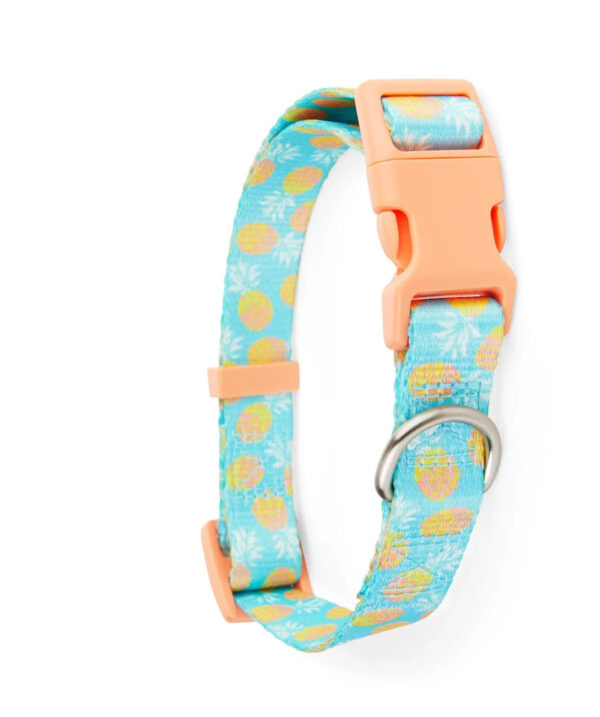 YOULY Pineapple Dog Collar, Extra Extra Small / Extra Small. By Youly
