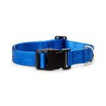 YOULY-The-Champion-Padded-Blue-Webbed-Nylon-Dog-Collar-XXLarge3X-Large.jpg