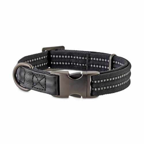 Reddy Black Webbed Dog Collar, Small, Black