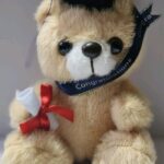 1780611820_Giftrite-Beige-Congratulation-Bear-2026-7-Inch.jpg