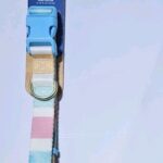 1780628105_Youly-Easter-Stripe-Dog-Collar-MediumLargeExtra-Large.jpg