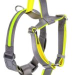 1780675275_Bond-Co-Gold-Chevron-Dog-Harness-in-X-SmallSmall.jpg