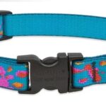 1781157795_Bond-And-Company-Grand-American-Dog-Collar-XX-Small-Blue.jpg
