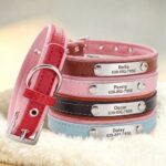 1781157796_Bond-And-Company-Grand-American-Dog-Collar-XX-Small-Blue.jpg
