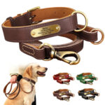 1781157797_Bond-And-Company-Grand-American-Dog-Collar-XX-Small-Blue.jpg