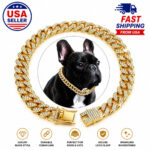 1781164508_Oh-Joy-Oh-So-Stylish-Collar-Smoothie-Dog-Collar-X-Small-White-And-Green.jpg