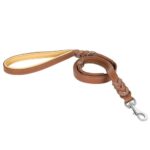 1781320287_Bond-Co-Genuine-Leather-Dog-Leash-5-Ft-With-One-Blemish.jpg