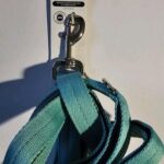 1781359061_EverYay-Multi-Handle-Blue-Traffic-Dog-Leash-6-Ft.jpg