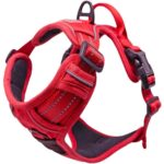 1782049128_YOULY-The-Classic-Red-Webbed-Nylon-Dog-Harness-Medium-Large.jpg