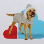 1782073644_Reddy-Grey-Striped-Jersey-Crewneck-Dog-T-Shirt-Medium-By-Reddy.jpg