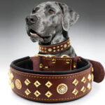 1782466367_Bond-And-Company-Bejeweled-Red-Leather-Cat-Collar-With-Safety-Stretch.jpg