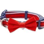 Bond-And-Company-Grand-American-Dog-Collar-XX-Small-Blue.jpg