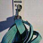 EverYay-Multi-Handle-Blue-Traffic-Dog-Leash-6-Ft.jpg