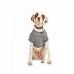 Reddy-Grey-Striped-Jersey-Crewneck-Dog-T-Shirt-Medium-By-Reddy.jpg