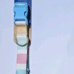 Youly-Easter-Stripe-Dog-Collar-MediumLargeExtra-Large.jpg