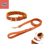 1786984543_Petco-1-inch-Diamonds-Stud-Leather-18-Color-in-Turquoise-Size-Medium.jpg