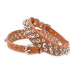 1786990970_Petco-38-inch-Diamonds-Stud-Leather-Color-in-Black-Size-12-Inches.jpg