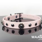 1786992363_Petco-Jeweled-Dog-Collar-Size-Small-In-Black-16-Inches.jpg
