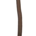 1786994831_Petco-1-Leather-Collar-for-dogs-in-Tan-Size-20-Large.jpg