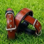 1786994832_Petco-1-Leather-Collar-for-dogs-in-Tan-Size-20-Large.jpg