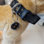 1787281676_Stylish-And-Fashionable-Dog-Collar-Size-Large-Color-Blue.jpg