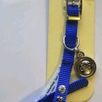1787355106_Bond-and-company-blue-blink-For-Neck-8-10-XX-Small.jpg