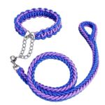 1787600274_Petmate-1-Nylon-Reflective-Stitching-Padded-Adjustable-Dog-Collar-in-Orange.jpg