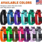 1787600275_Petmate-1-Nylon-Reflective-Stitching-Padded-Adjustable-Dog-Collar-in-Orange.jpg
