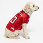 1787782225_New-York-Jets-NFL-Team-Tee-Size-Extra-Large-by-Pets-First.jpg