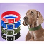 1788185325_Petco-Adjustable-Sport-Dog-Collar-in-Blue-Green-eye-catching-pattern-Large.jpg