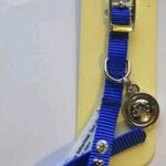 Bond-and-company-blue-blink-For-Neck-8-10-XX-Small.jpg