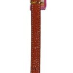 Stylish-And-Fashionable-Dog-Collar-Size-Large-Color-Orange.jpg
